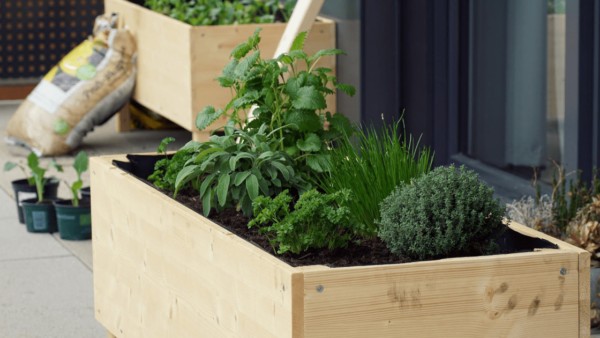 Wooden Raised Garden Bed DIY