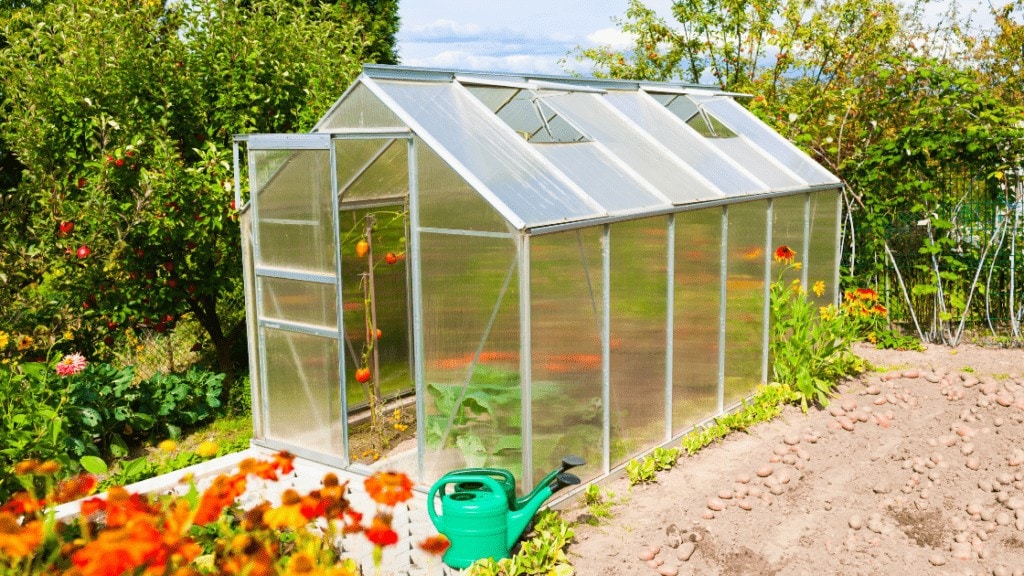 Greenhouse 