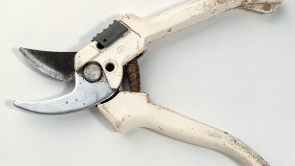 Pruning Shears