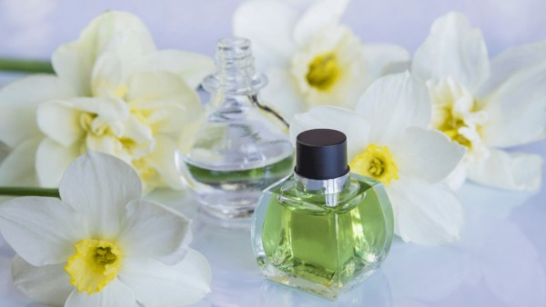 Fragrance Garden