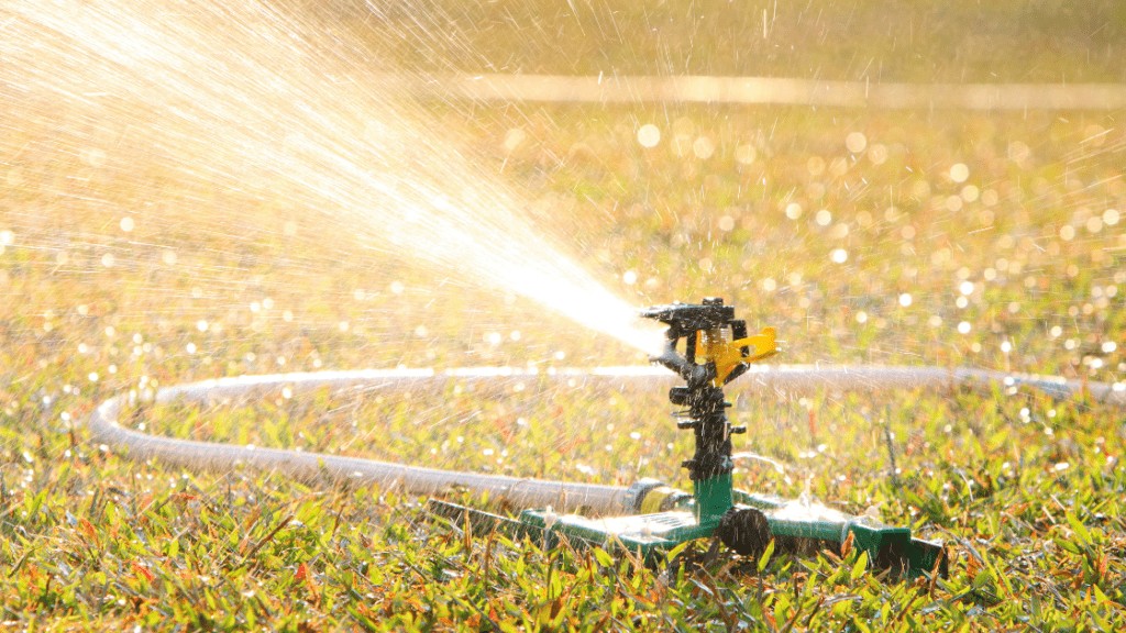 Lawn sprinkler