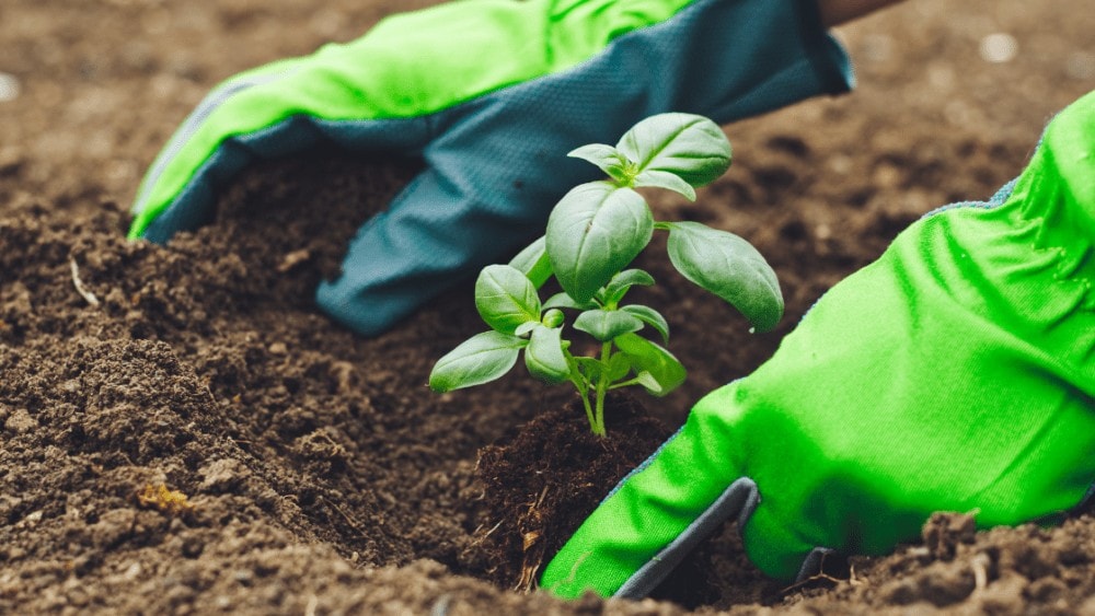 Garden by hand