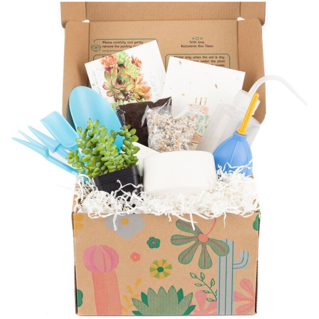 Beginner Kit Gift Box