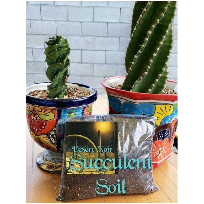 Desert Noir Succulent Soil, Premium Potting Soil Mix, Well Draining Succulent Soil, Grow Indoor Plants, Cactus dirt