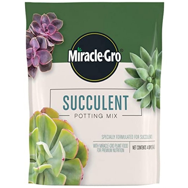 Miracle-Gro Succulent Potting Mix: Fertilized Soil with Premium Nutrition for Indoor Cactus Plants, Aloe Vera and More, 4 qt.