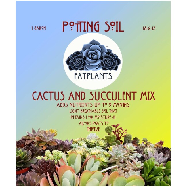 Premium Cactus and Succulent Soil