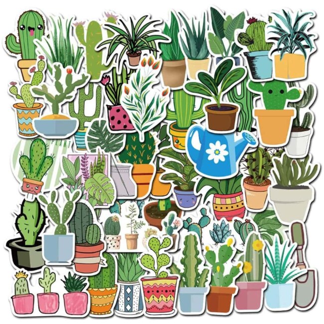 Cactus Sticker Packs, Plant Stickers, Vinyl Stickers