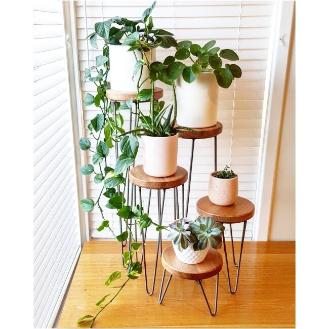 HARPER - Hairpin leg plant stand, metal plant stand, plant stand, speaker stand, side table, indoor plant stand, small table