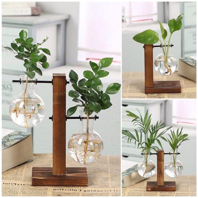 Hydroponic Glass Vase on a Wooden Plant Stand, Glass Planter, Water Plant Holder, Plant Propagation Station, Plant Cuttings Propagation Vase