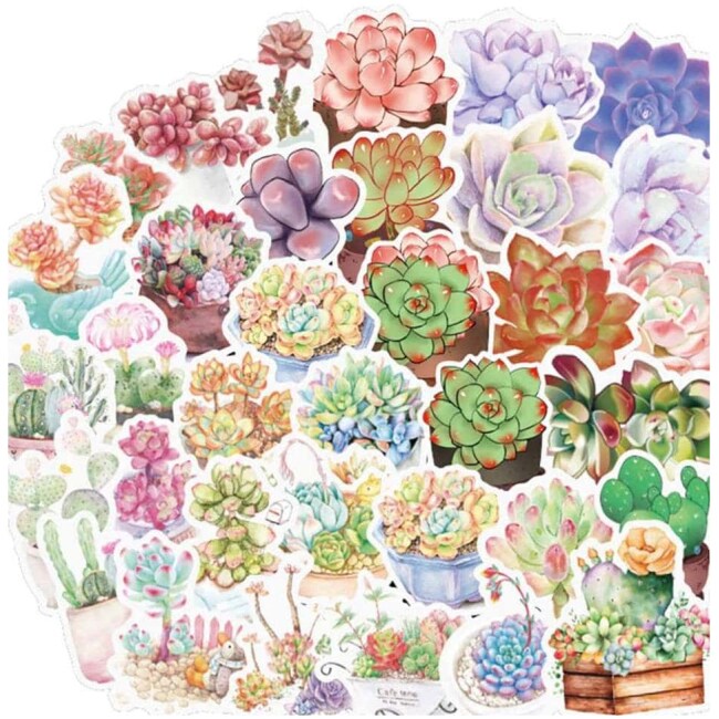 Succulent - Random Stickers - Hydro-flask - no residue - waterproof Free Tracking