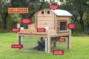 Backyard Chicken Coop