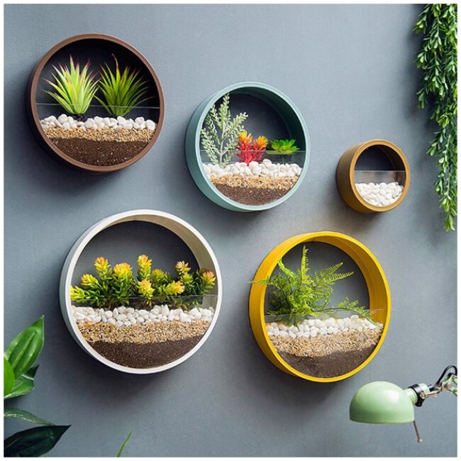 Wall Mounted Planter Wall Hanging Planters Metal Plant Terrarium for Indoor Planter