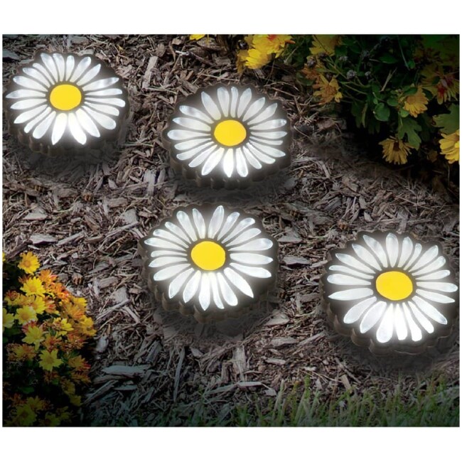 Daisy Solar Powered LED Pathway Light Pack