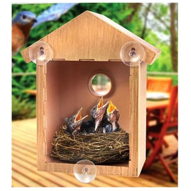 2 Way Mirrored Bird House See Through Suction Cup Window Mounted Bird Nesting Box