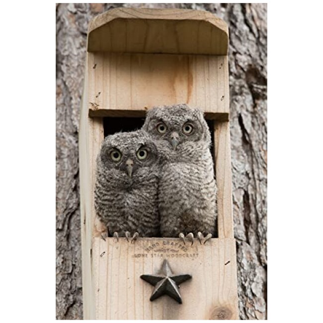 Lone Star Woodcraft Screech Owl House - Nesting Box - Rectangular Opening