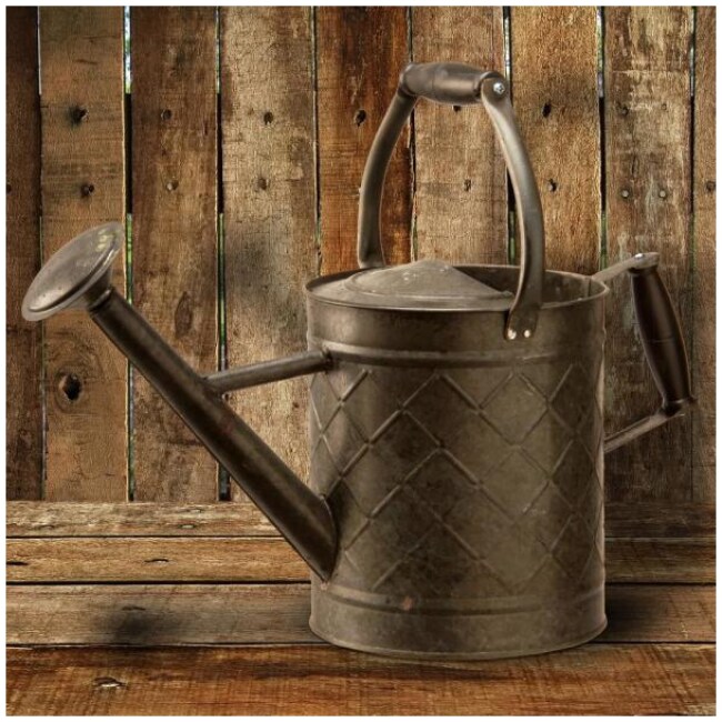 Garden Accents 12 in. Antique Black Metal Watering Can