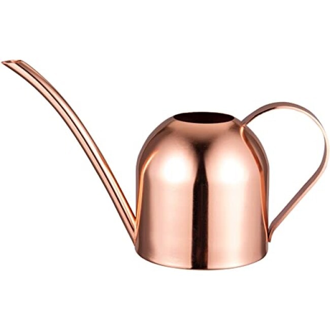 IMEEA Rose Gold Watering Can House Watering Can for Indoor Plants Orchid Bonsai Desk Office Stainless Steel Watering Can with Long Spout, 15oz/450ml