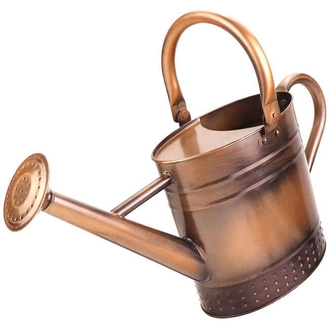 Megawodar 1 Gallon Galvanized Steel Watering Can with Embossed Design (Bronze)