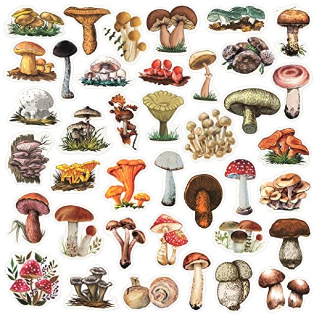 OIIKI 156PCS Mushroom Scrapbook Stickers, Self-Adhesive Mushroom Laptop Stickers Decals, Plants Decoration Stickers, Mushroom Collection