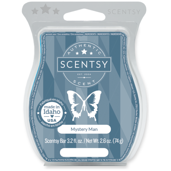 Mystery Man Scentsy Bar