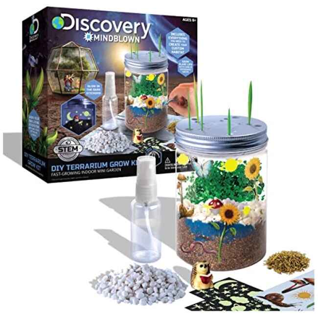 Discovery #MINDBLOWN DIY Terrarium Grow Kit, Fast-Growing Indoor Mini Garden, Create A Living Ecosystem, Includes Sand, Seeds, Potting Mix, Stones...