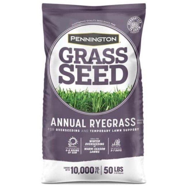 50 lb. Annual Ryegrass Grass Seed