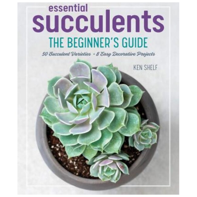Essential Succulents : The Beginner's Guide