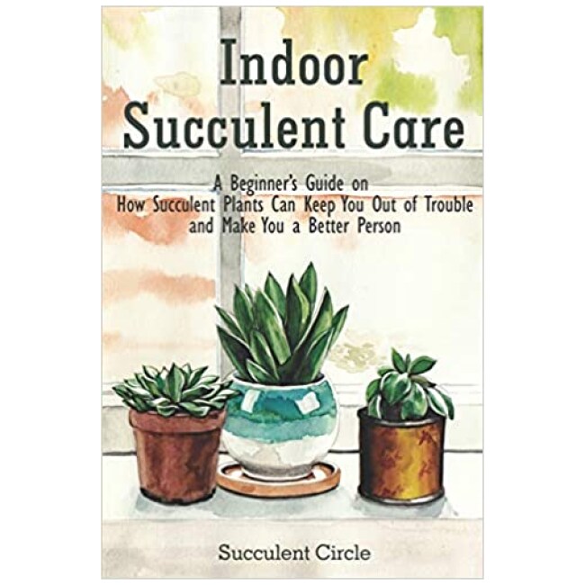 Indoor Succulent Care: A Beginner's Guide on How Succulent Plants Can Keep You Out of Trouble and Make You a Better Person