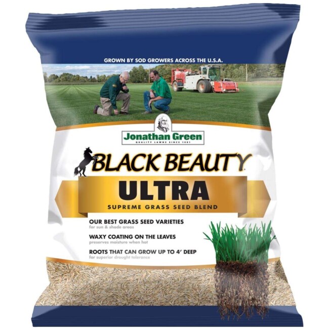 Jonathan Green Black Beauty All Grasses Sun or Shade Grass Seed 7 lb