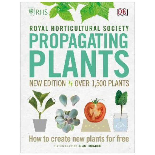 Propagating Plants : How to Create New Plants For Free