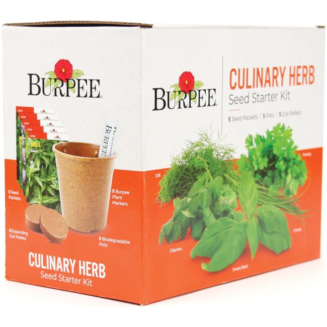 Burpee Culinary Herb Seed Starter Kit