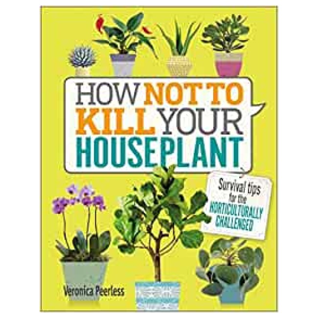 How Not to Kill Your Houseplant: Survival Tips for the Horticulturally Challenged