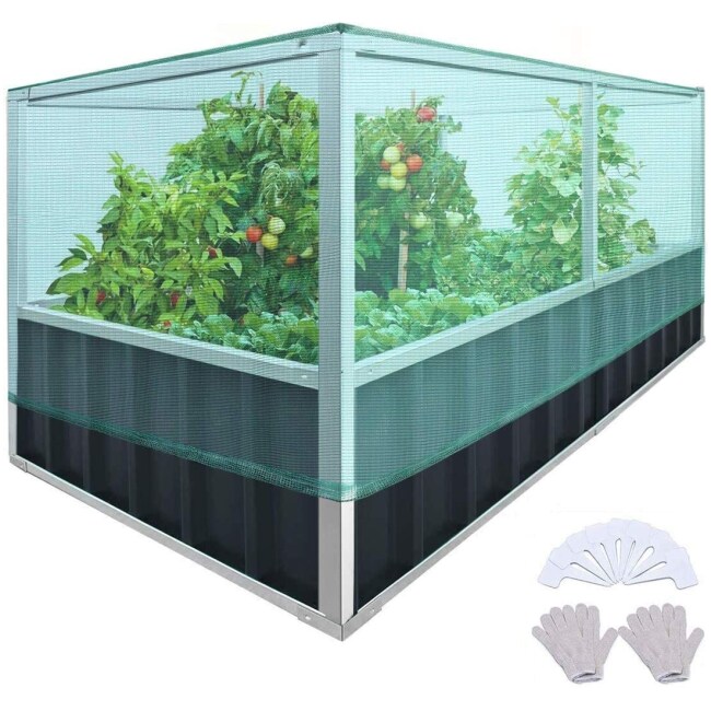 Raised Garden Bed with Garden Anti Bird Protection Netting Structure