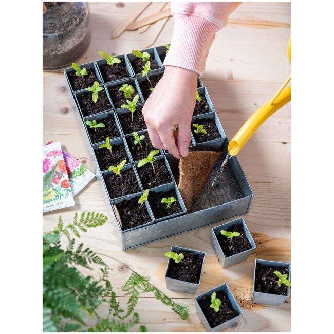 Self-Watering Galvanized Seed-Starting Tray