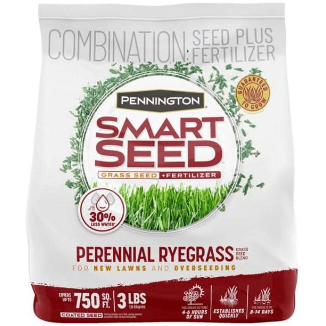 Smart Seed 3 lbs. Perennial Ryegrass Grass Seed Blend