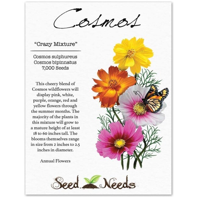 Bulk Package of 7,000 Seeds, Crazy Mix Cosmos (Cosmos bipinnatus) Non-GMO Seeds by Seed Needs - Image 2