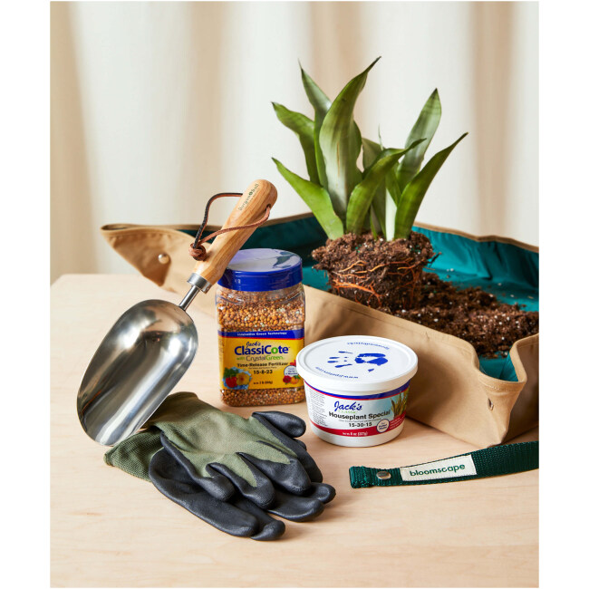 Essential Plant Repotting Set