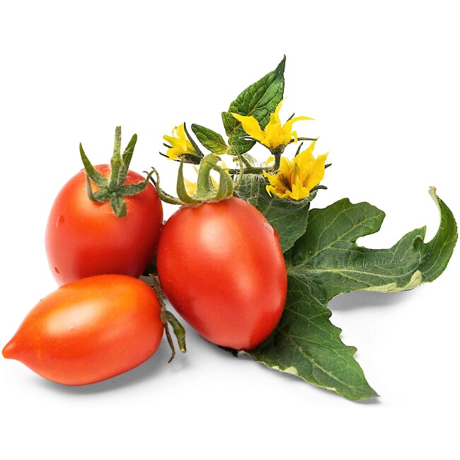 Red Cherry Tomato Lingot® Seed Packs