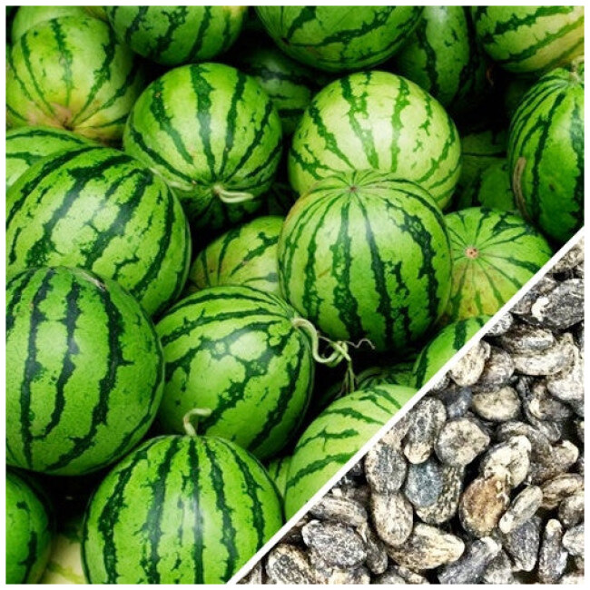 Watermelon - Crimson Sweet Seed Pack