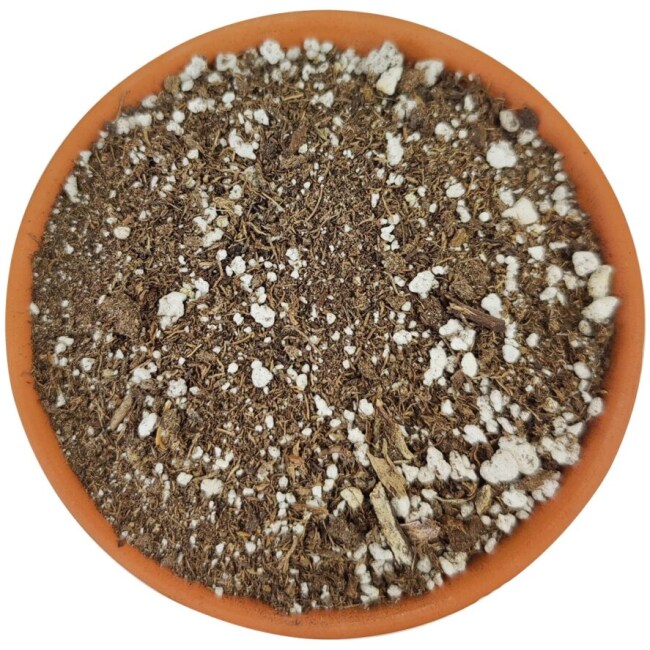 SUCCULENT POTTING SOIL