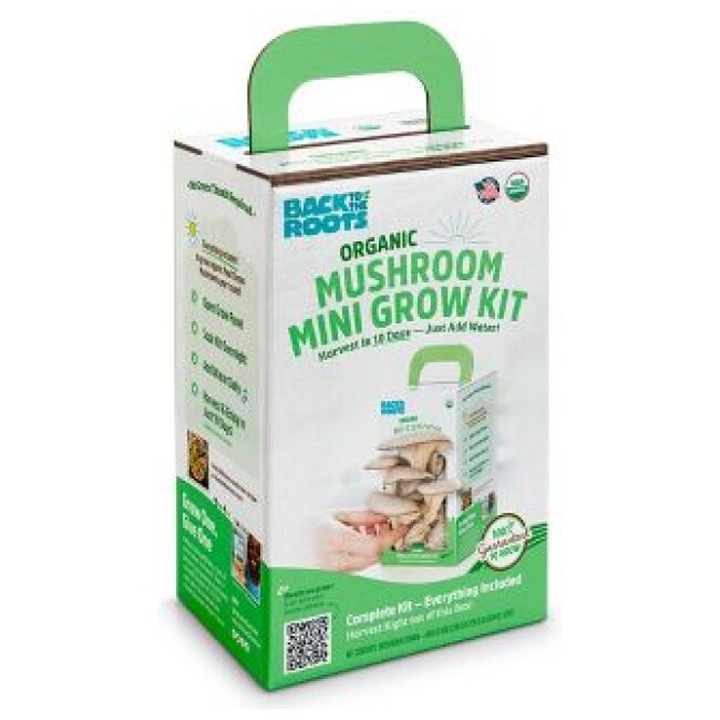 Back to the Roots Organic Mini Mushroom Grow Kit