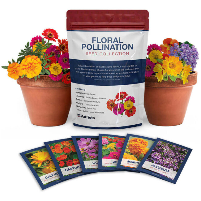 Floral Pollination Seed Kit