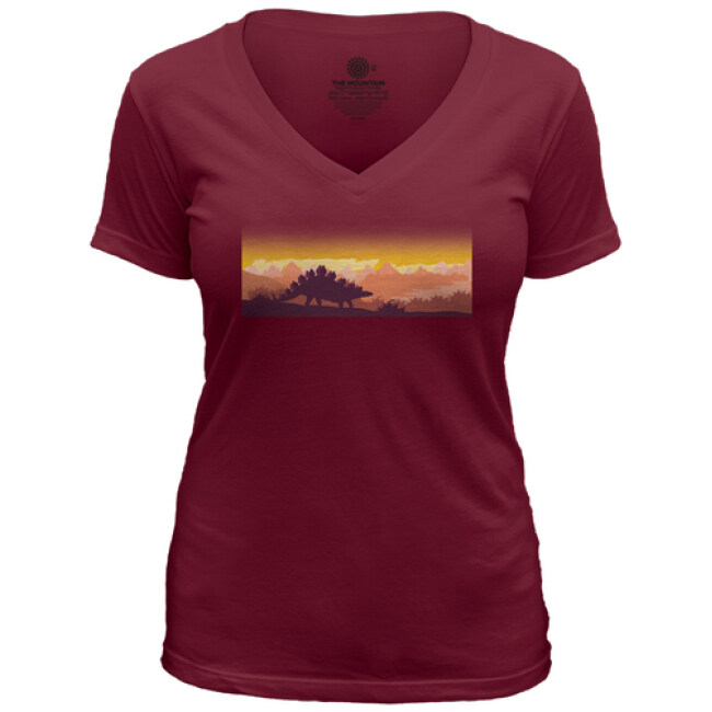 Stegosaurus Silhouette Women's V-Neck Triblend Tee