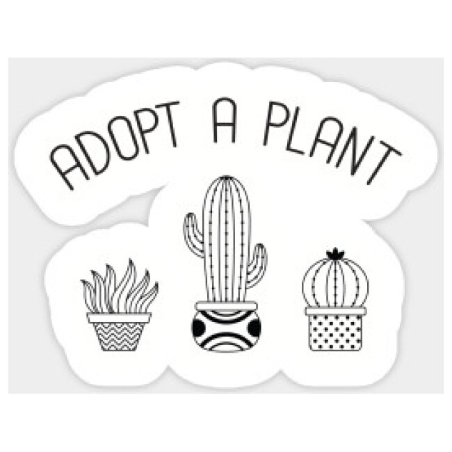 Adopt A Plant, Cactus, Succulent, Plant Love Quote Design Sticker