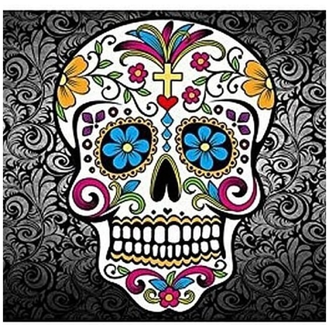 Shirley's Door Mats 23.6 X 15.7 Inch 3 17 Thickness Sugar Skull And Flower Background Indoor Outdoors Floor Mat Gate Pad Cover Doormat