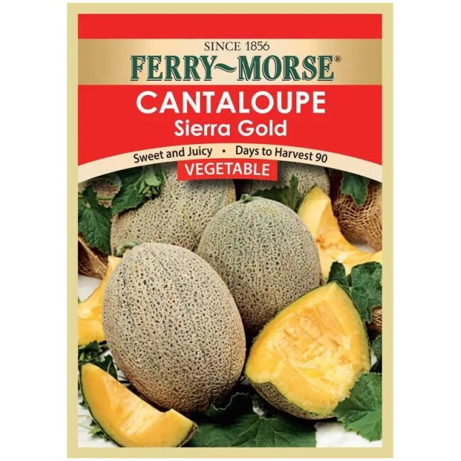 Cantaloupe Seeds, Heirloom Sierra Gold