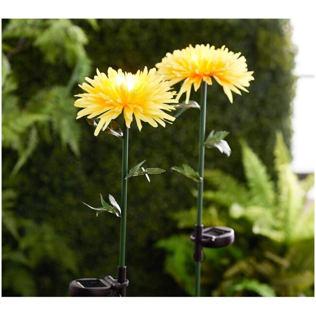 Ultimate Innovations Set of Two Solar Fabric Chrysanthemums