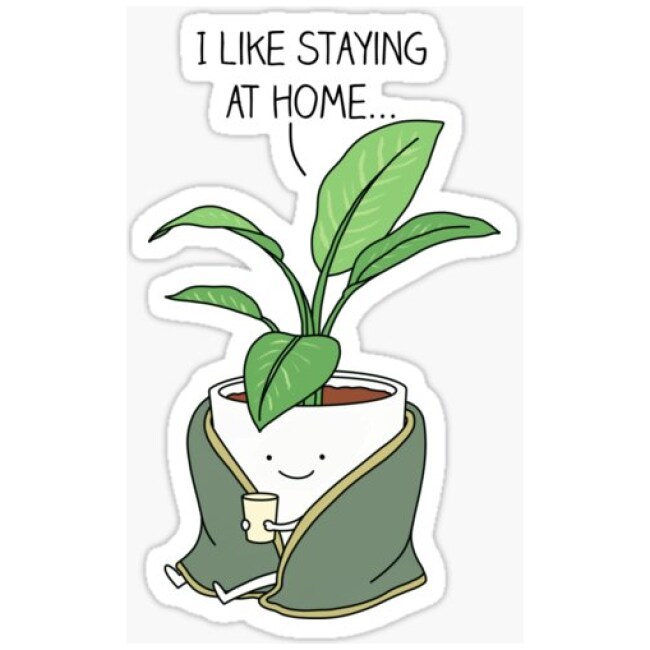 House plant Sticker