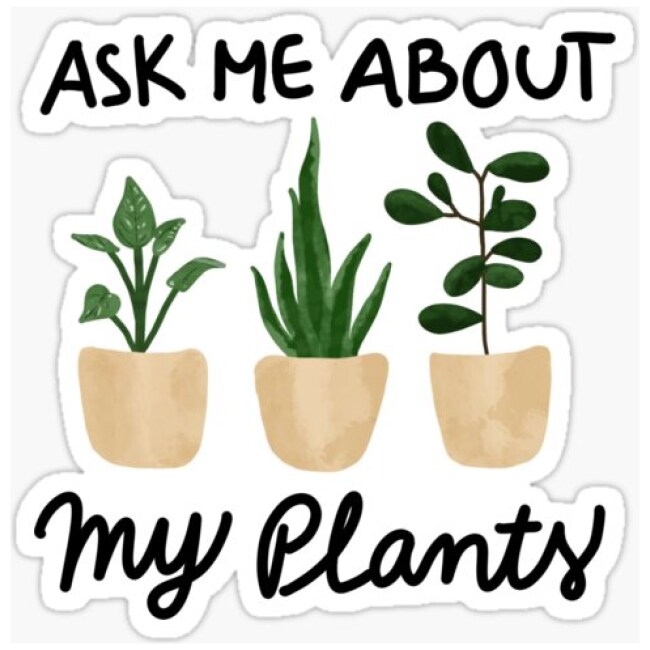 Ask Me About My Plants Design Illustration Sticker