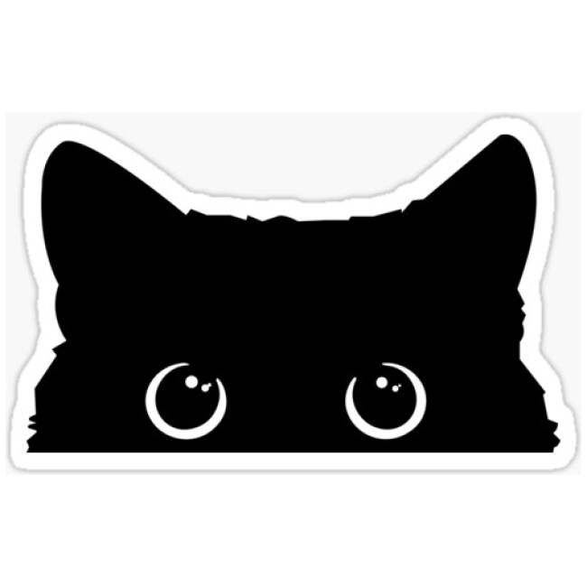 Peeking Cat Sticker Sticker